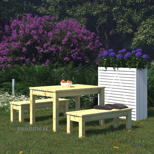 Laud_pinkidega_Sanne12.jpg