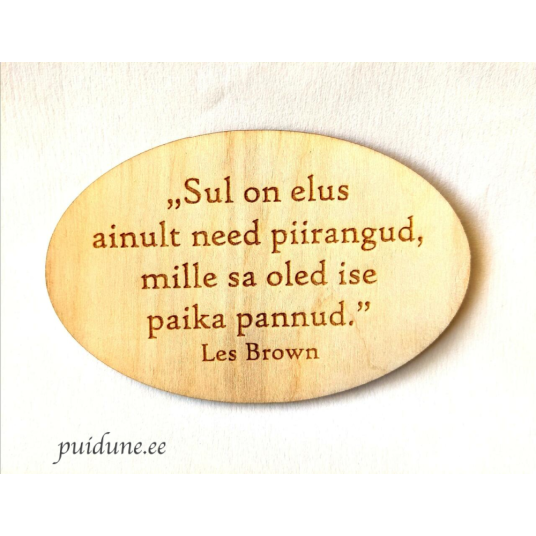 Külmkapimagnet_Elu_Piirangud.png