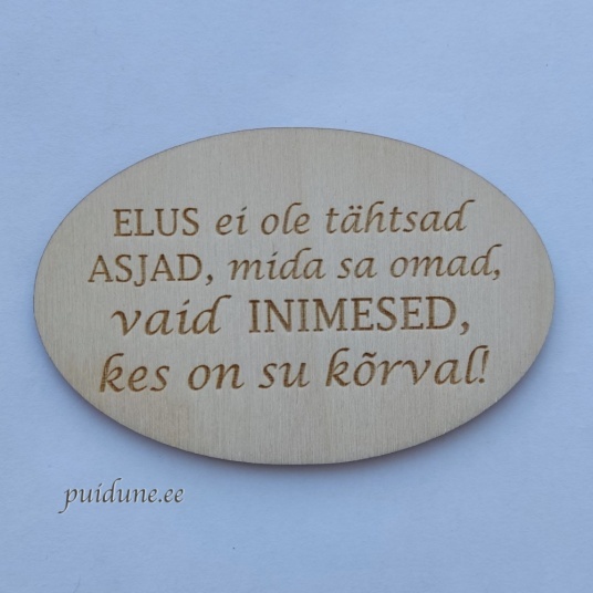 Magnet_Elus_ei ole_tähtsad.jpg