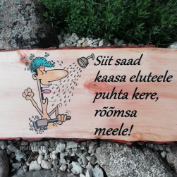 Puidust silt "Siit saad kaasa"