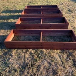 Kasvukast termopuit (madal)