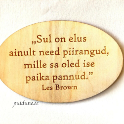 Külmkapimagnet "Elu piirangud"