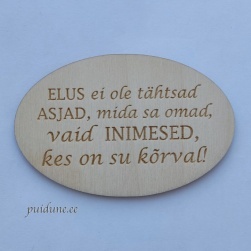 Külmkapimagnet "Elus ei ole tähtsad..."