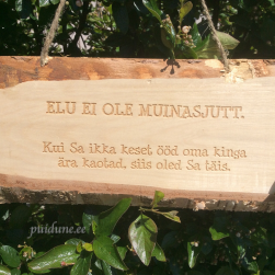 Humoorikas silt "Elu ei ole muinasjutt..."