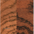 Jatoba.png