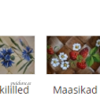 Puidust häll pildid.PNG